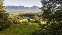 Aussichtspunkt auf den Zwieselberg in Roßhaupten mit einem Holzkreuz im Vordergrund, umgeben von Bäumen und einer weiten Landschaft mit Bergen im Hintergrund.