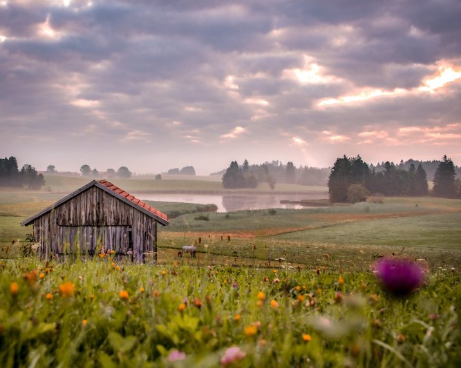 Landschaft mit einer Holzhütte auf einer Wiese mit Wildblumen, dahinter ein See und neblige Baumgruppen unter bewölktem Himmel bei Morgenstimmung in Rückholz